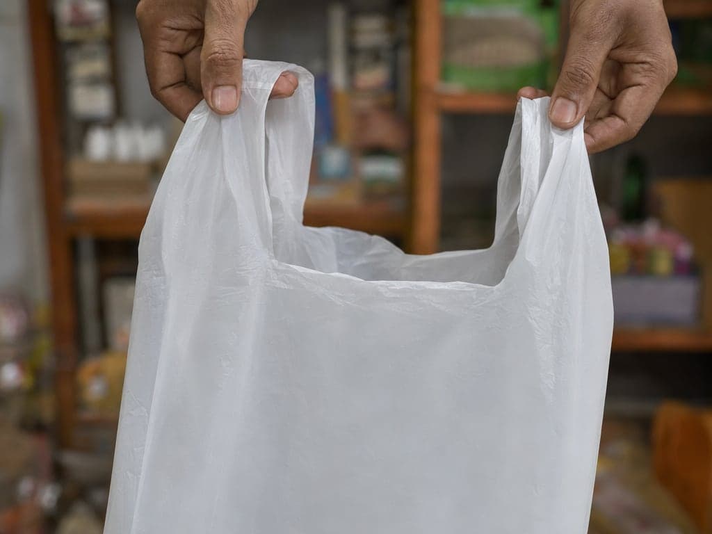 Bolsas de gabacha — imagen 3 de 3