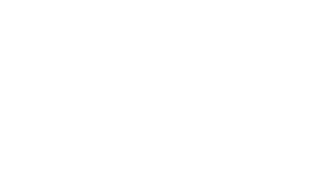 Poliflexsa